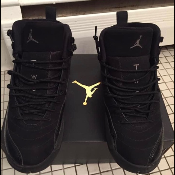 Air Jordan 12s - Picture 4 of 4